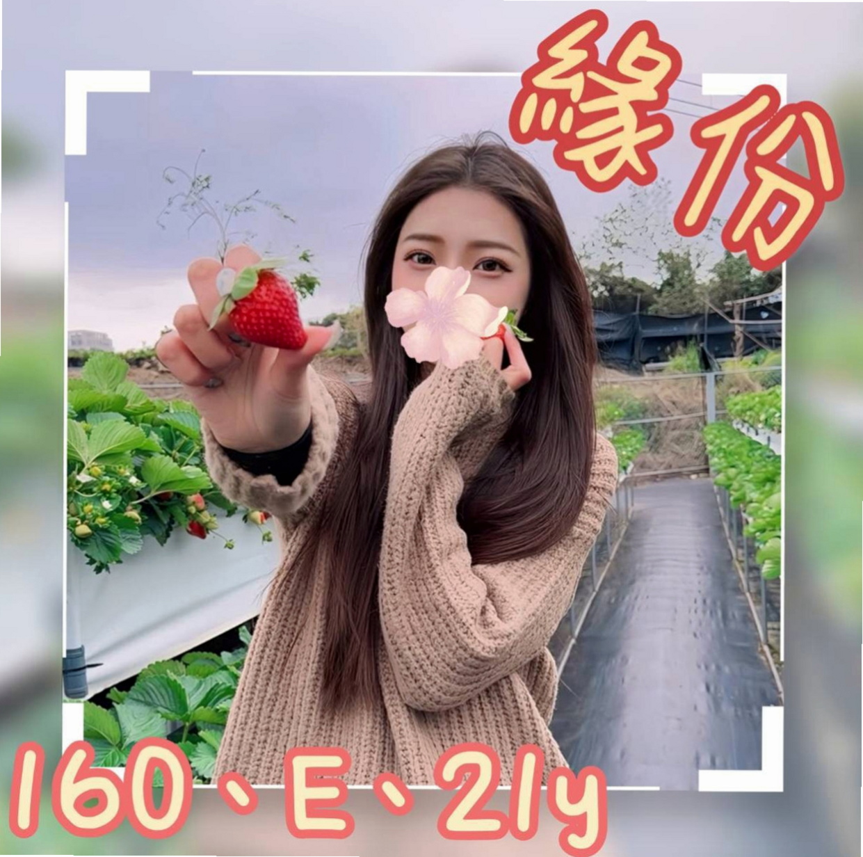 高雄找妹妹：濕樂 |小蘿莉學生妹|163cm|49kg|D杯|24y|