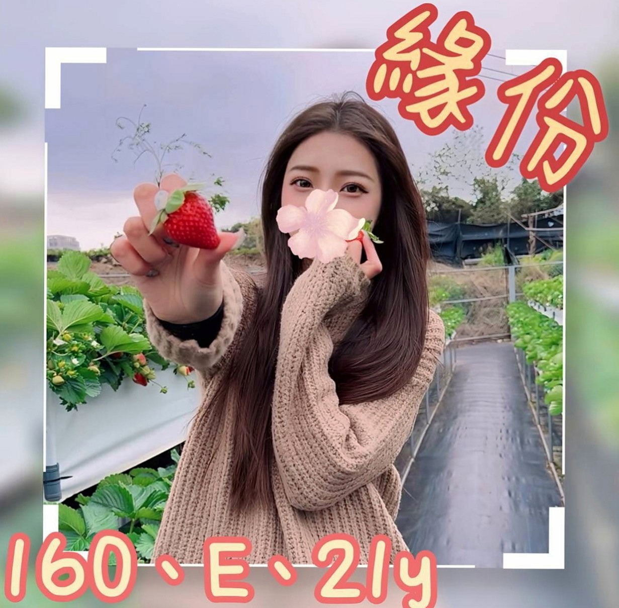 高雄找妹妹：濕樂 |小蘿莉學生妹|163cm|49kg|D杯|24y|